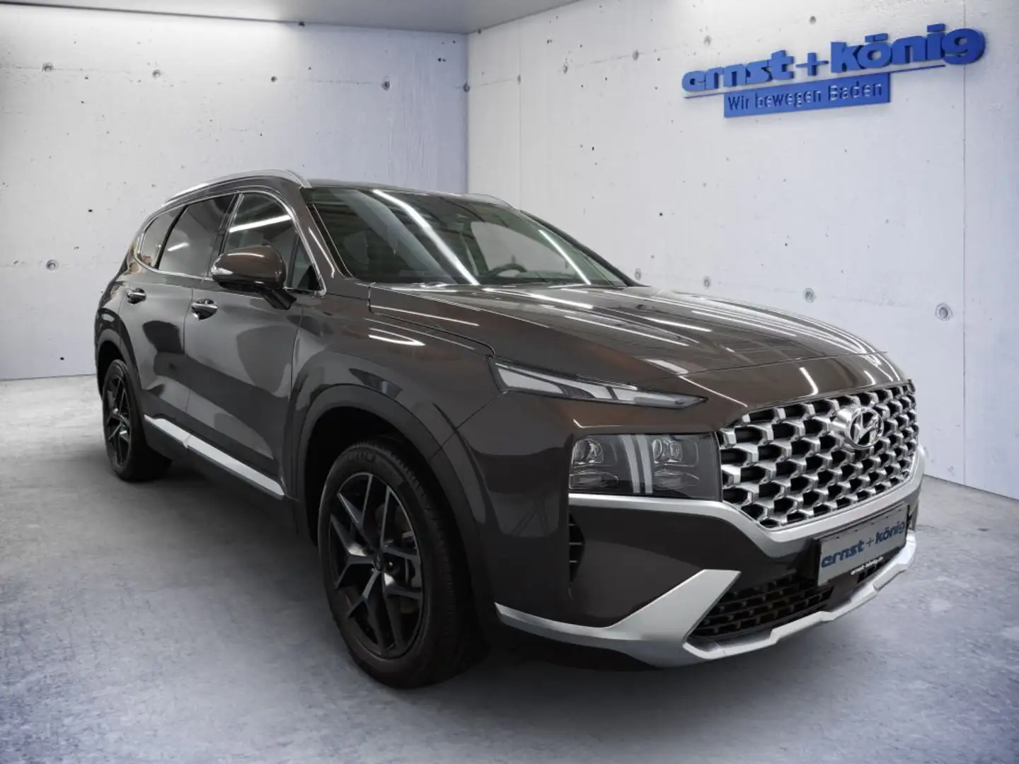 Hyundai SANTA FE 1.6 HEV 4WD Prime 360° NAVI SHZ LED Braun - 2