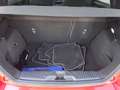 Ford Fiesta 1.5 TDCi ST-Line DynLicht Kam. KeyLess LM Rot - thumbnail 12