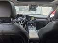 Alfa Romeo Giulia Super 2,2 180 AT RWD Grau - thumbnail 18