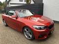 BMW 220 2-serie Cabrio 220i High Executive Edition, M-Spor Oranje - thumbnail 5