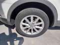 Audi Q3 2.0 TDI 120 CV (Garanzia 12 Mesi) Bianco - thumbnail 14