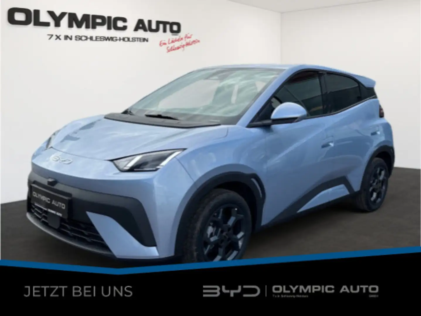 BYD Dolphin Dolphin Surf Comfort 43kWh 360°KAMERA LED SITZHZ Blau - 1