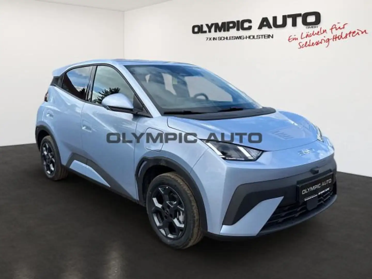 BYD Dolphin Dolphin Surf Comfort 43kWh 360°KAMERA LED SITZHZ Blau - 2