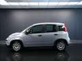 Fiat Panda 1.0 FireFly S&S Hybrid Gris - thumbnail 7