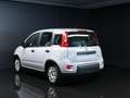 Fiat Panda 1.0 FireFly S&S Hybrid Gris - thumbnail 5