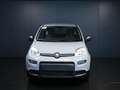 Fiat Panda 1.0 FireFly S&S Hybrid Gris - thumbnail 2