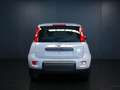 Fiat Panda 1.0 FireFly S&S Hybrid Gris - thumbnail 4