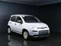 Fiat Panda 1.0 FireFly S&S Hybrid Gris - thumbnail 3