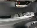 Lexus NX 300 300h Business Navigation 2WD Blanco - thumbnail 15