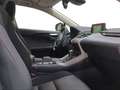 Lexus NX 300 300h Business Navigation 2WD Wit - thumbnail 6