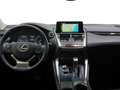 Lexus NX 300 300h Business Navigation 2WD Weiß - thumbnail 8