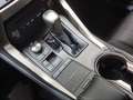 Lexus NX 300 300h Business Navigation 2WD Blanc - thumbnail 13