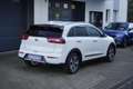 Kia Niro 1.6 Vision Plug-in Hybrid tLEDER+NAVI+KAMERA+AHK Weiß - thumbnail 19