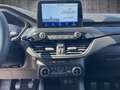 Ford Kuga 2.0 EcoBlue Hybrid ST-LINE Schwarz - thumbnail 12