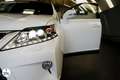 Lexus RX 450h 3.5 V6 299 AWD F SPORT E-CVT Blanc - thumbnail 5