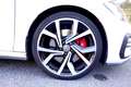 Volkswagen Golf GTI Performance 2.0 245CV DSG 5p. TETTO-ALCANTARA-19" Bianco - thumbnail 14