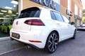 Volkswagen Golf GTI Performance 2.0 245CV DSG 5p. TETTO-ALCANTARA-19" Bianco - thumbnail 5