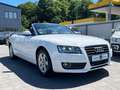 Audi A5 Cabriolet 1.8 TFSI/19TKM/1. Hand/S-Heft/Exclu Weiß - thumbnail 3