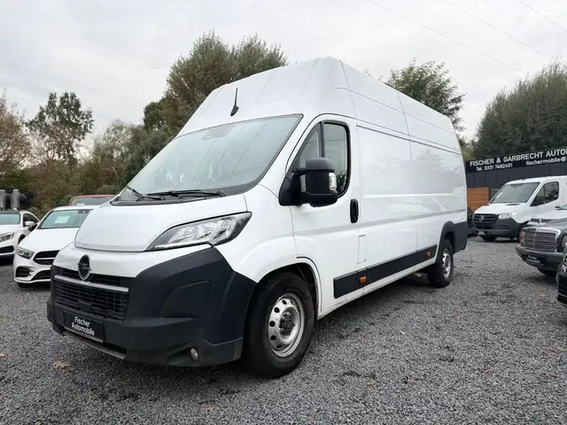 Opel Movano Kasten L4H3 BlueHDI 180+AUTOM+HOCH LANG+