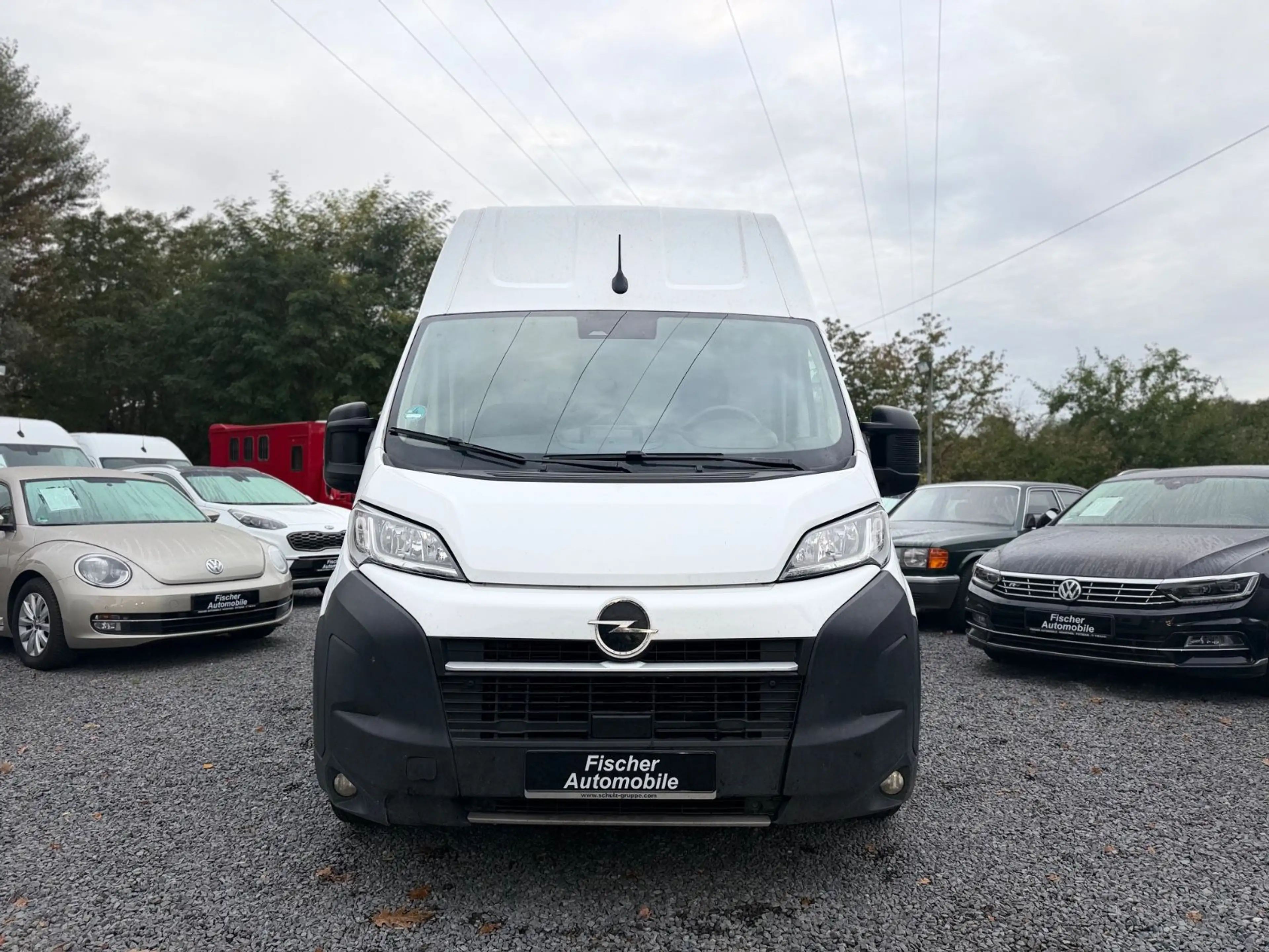 Opel Movano Kasten L4H3 BlueHDI 180+AUTOM+HOCH-LANG+ — photo 2