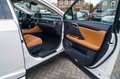 Lexus RX 350 AWD President Line | Luxe Leder | Memory | Lane As Blanco - thumbnail 26