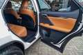 Lexus RX 350 AWD President Line | Luxe Leder | Memory | Lane As Blanco - thumbnail 17