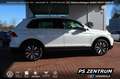 Volkswagen Tiguan 2.0 TDI DSG Move AHK CAM ACC LED NAVI Klima Weiß - thumbnail 7