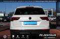 Volkswagen Tiguan 2.0 TDI DSG Move AHK CAM ACC LED NAVI Klima Weiß - thumbnail 5