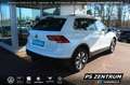 Volkswagen Tiguan 2.0 TDI DSG Move AHK CAM ACC LED NAVI Klima Weiß - thumbnail 6