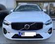 Volvo XC60 Volvo XC60  Mild Hybrid B4 Momentum Pro Geartronic SUV -Crystal white Weiß - thumbnail 1