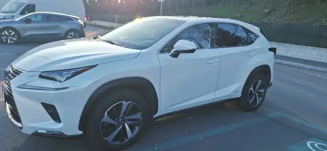 Lexus NX 300h