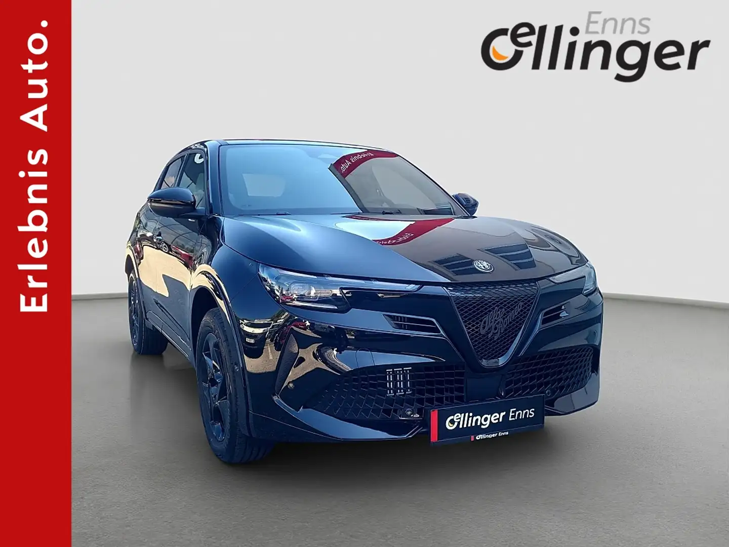 Alfa Romeo Junior Sprint Schwarz - 1