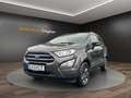 Ford EcoSport Trend NAVI Grau - thumbnail 1