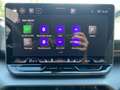 CUPRA Raval ENDURANCE 52/55 155kW/210 PS Grau - thumbnail 20