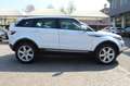 Land Rover Range Rover Evoque 2.2 TD4 5p Pure PELLE Bianco - thumbnail 9