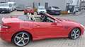 Mercedes-Benz SLK 350 SLK 350 BlueEfficiency *Leder*Navi*Pano*Memory* Rot - thumbnail 11