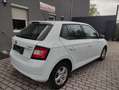Skoda Fabia Fabia Joy 1,0 Joy Weiß - thumbnail 5