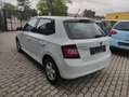 Skoda Fabia Fabia Joy 1,0 Joy Weiß - thumbnail 3