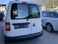 Volkswagen Caddy Kasten Entry TDI Weiß - thumbnail 3