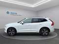 Volvo XC60 Momentum Pro AWD *LED*STANDHEIZUG" Weiß - thumbnail 9