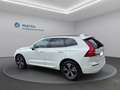 Volvo XC60 Momentum Pro AWD *LED*STANDHEIZUG" Weiß - thumbnail 8