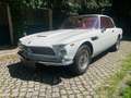 Iso Rivolta 300 ISO Rivolta GT IR 300 Weiß - thumbnail 27