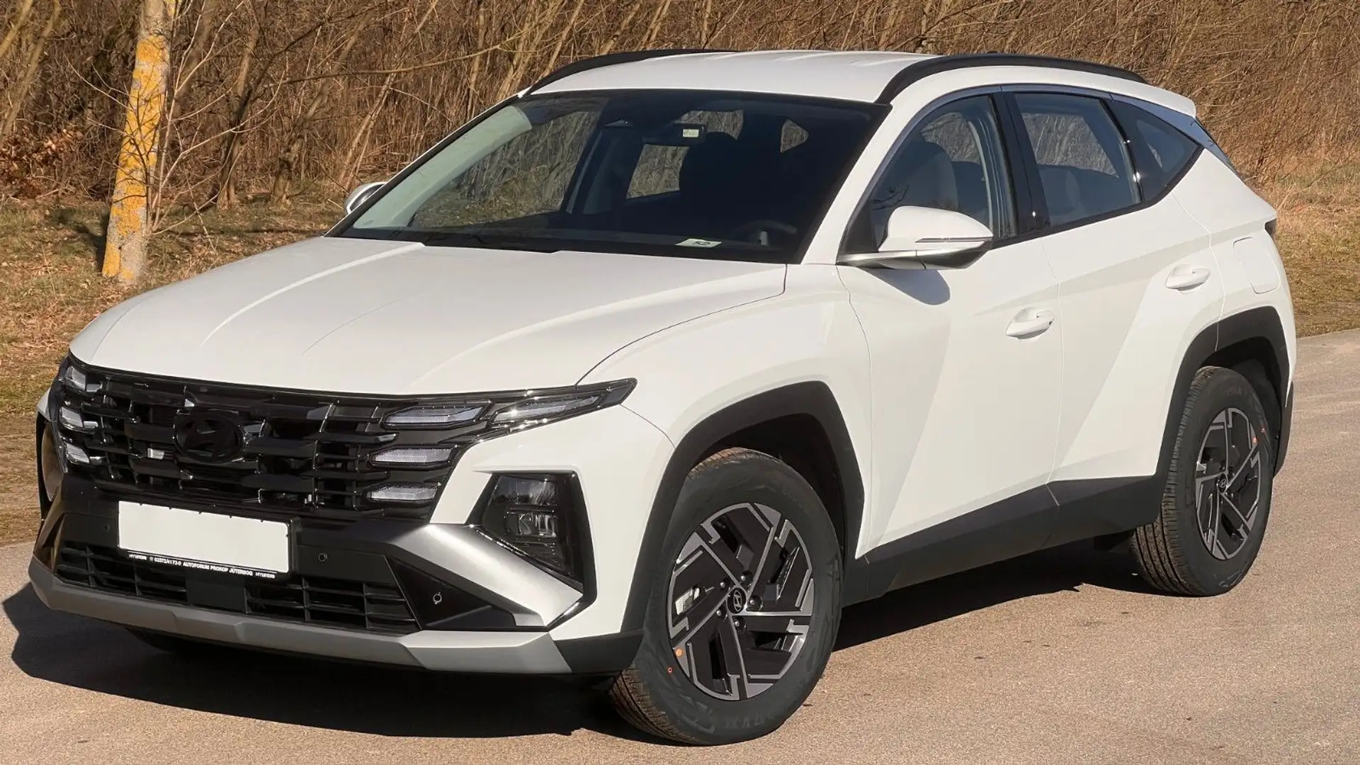 Hyundai TUCSON 1.6 CRDi Select FL *Nav*Totwinkl*ACC*LED* Blanc - 1