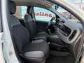 Fiat Panda 0.9 TWINAIR -4X4- FRIZIONE NUOVA - thumbnail 12