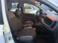 Fiat Panda 0.9 TWINAIR -4X4- FRIZIONE NUOVA - thumbnail 3