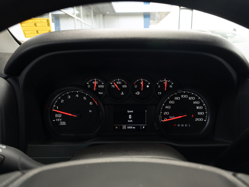 2025 Chevrolet Silverado 1500