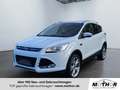 Ford Kuga Titanium 2.0 TDCi 4WD TEMP KAM NAVI Blanc - thumbnail 1