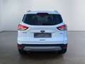 Ford Kuga Titanium 2.0 TDCi 4WD TEMP KAM NAVI Blanc - thumbnail 5