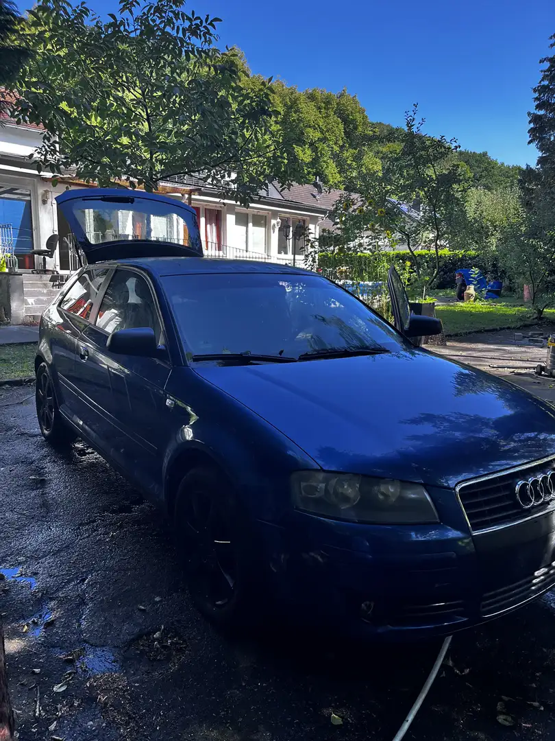 Audi A3 1.6 Ambiente - 2