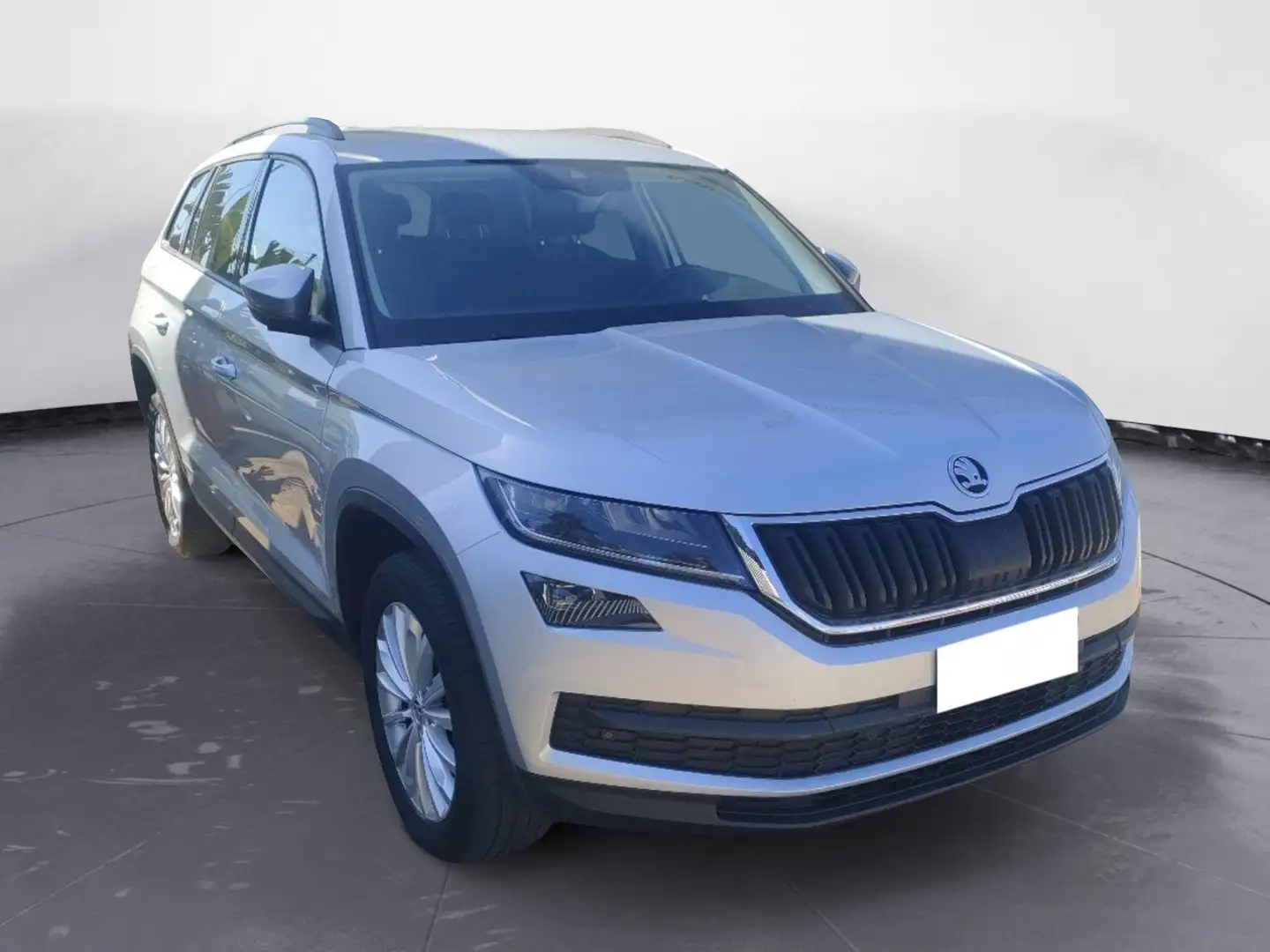 Skoda Kodiaq 1ª serie 2.0 TDI SCR DSG Executive Grigio - 2